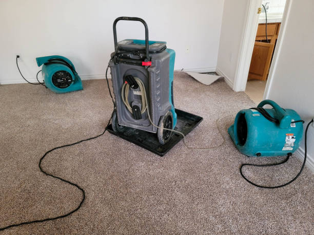 Best Water damage restoration process  in Dillon, MT