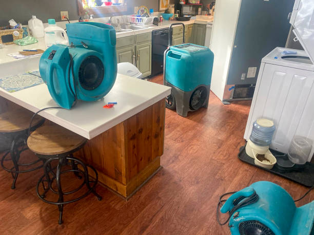 Best Sewage cleanup and water damage restoration  in Dillon, MT