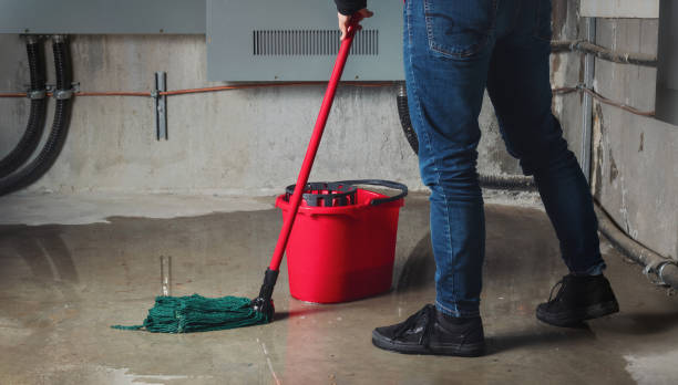 Best 24/7 water damage repair  in Dillon, MT