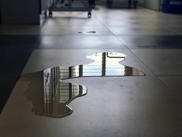Best Local water damage restoration  in Dillon, MT