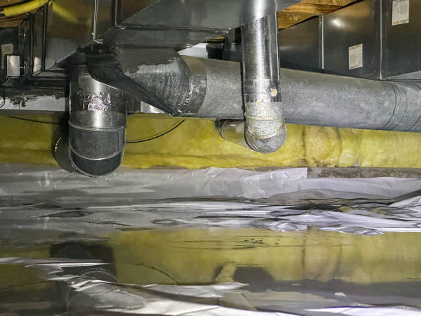 Best Flooded house restoration  in Dillon, MT